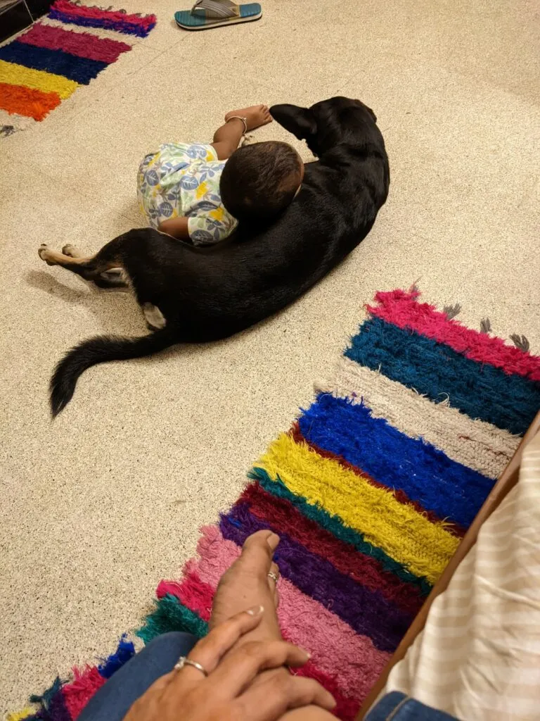 A beautiful inter-species relationship