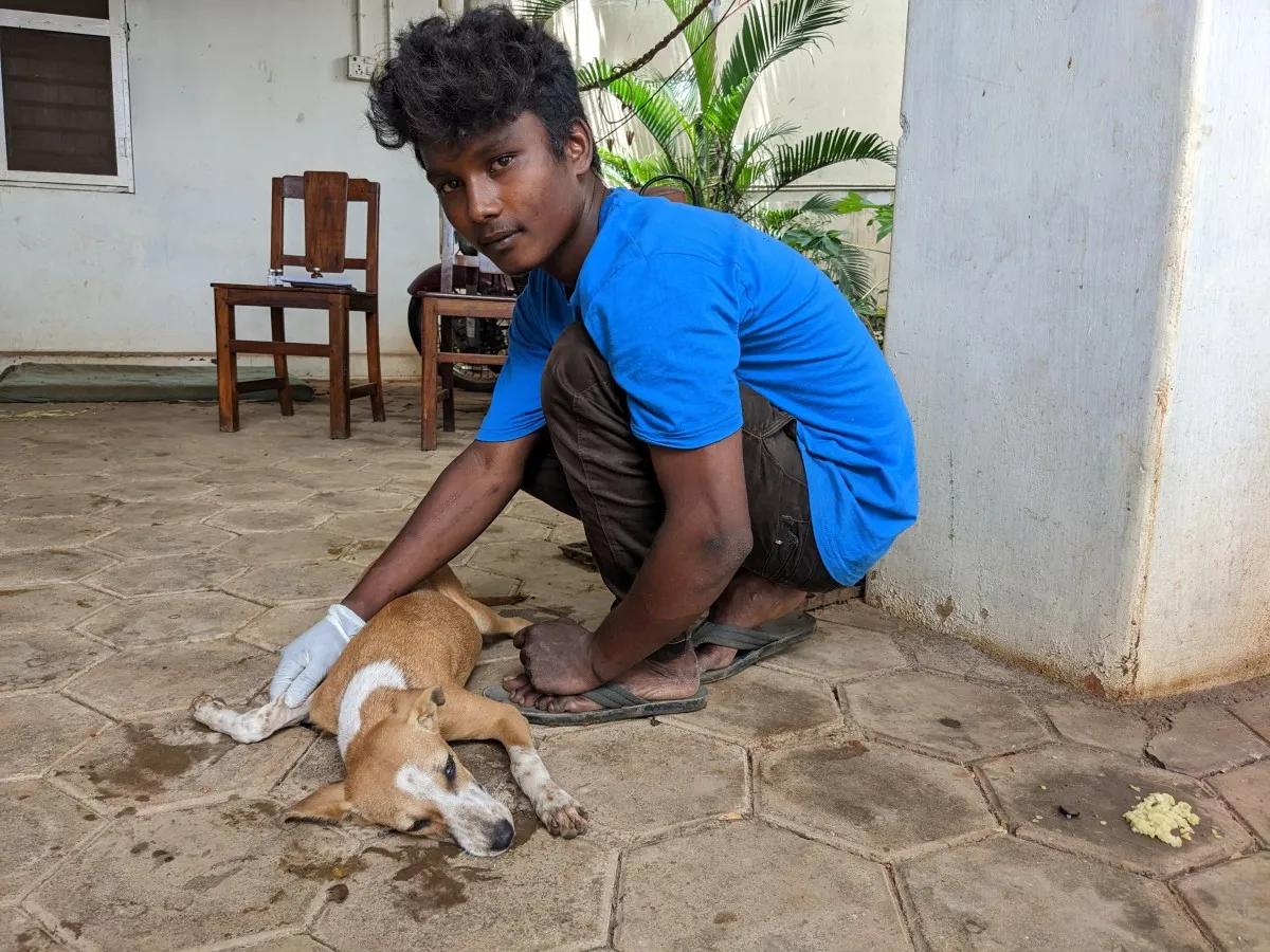 Bruno before the surgery