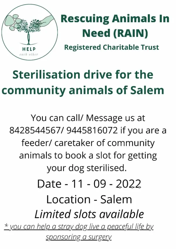 RAIN non-profit organization sterilization drive information